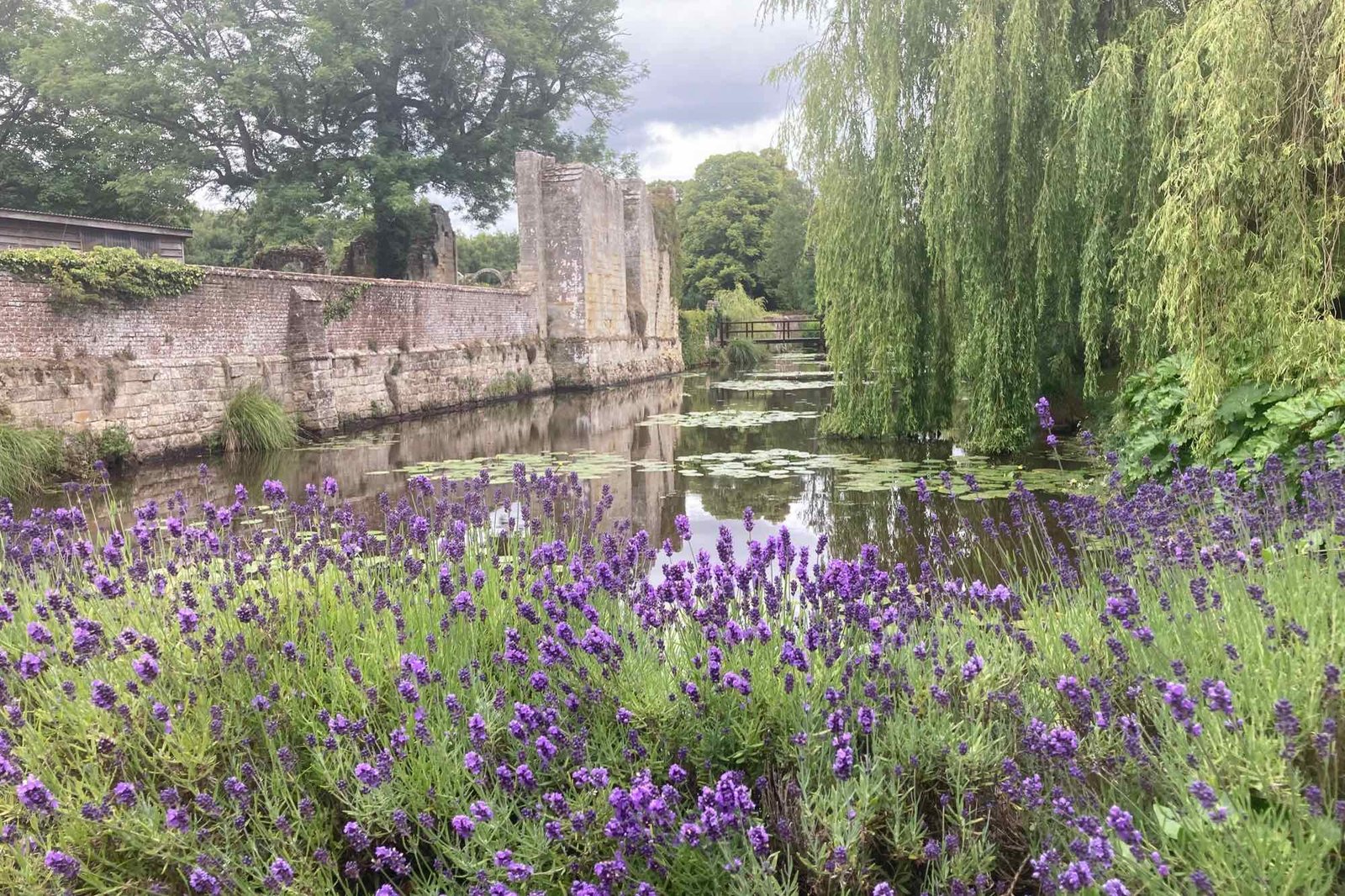 Lavender in bloom beside the moat and the old brick walls of Slaugham Place